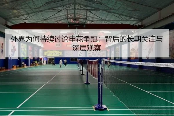 外界为何持续讨论申花争冠：背后的长期关注与深层观察